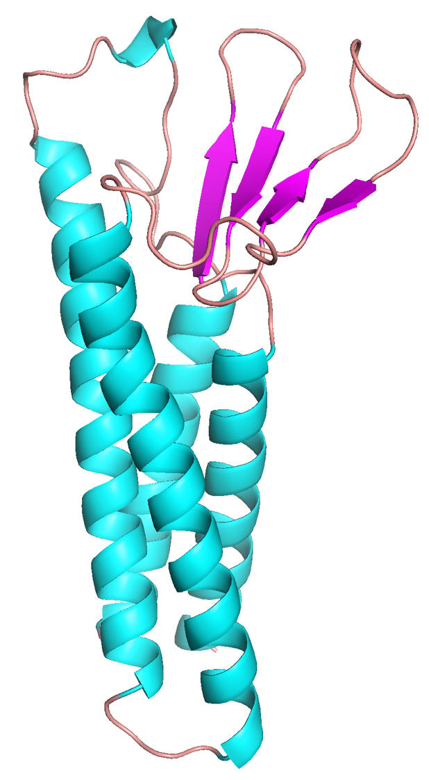 Research Image